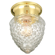 Design House 1-Light Polished Brass Ceiling Fixture with Clear Glass 507210